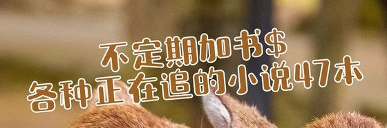 不定期加书$各种正在追的小说47本