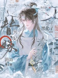 替嫁男妃跑路后,帝王黑化了